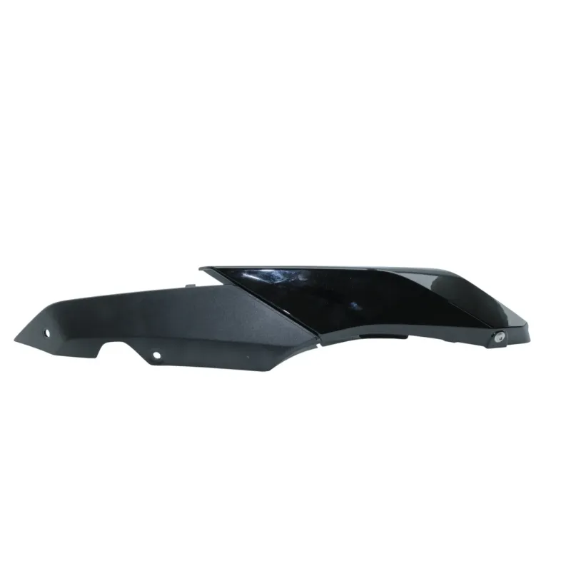 Coque arriere droit BMW R 1250 RS 2019 - 2025