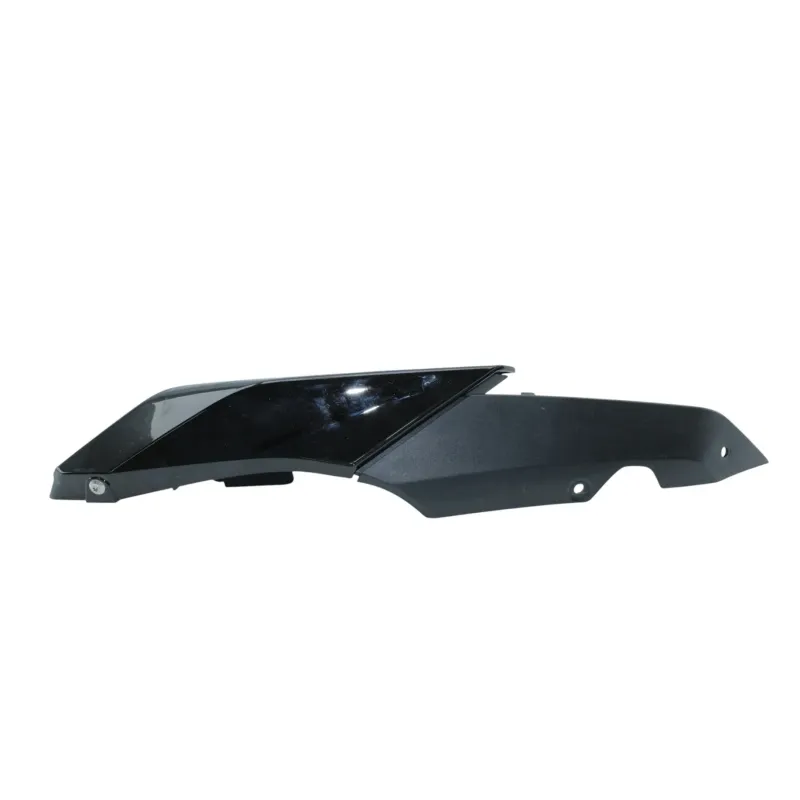 Coque arriere gauche BMW R 1250 RS 2019 - 2025