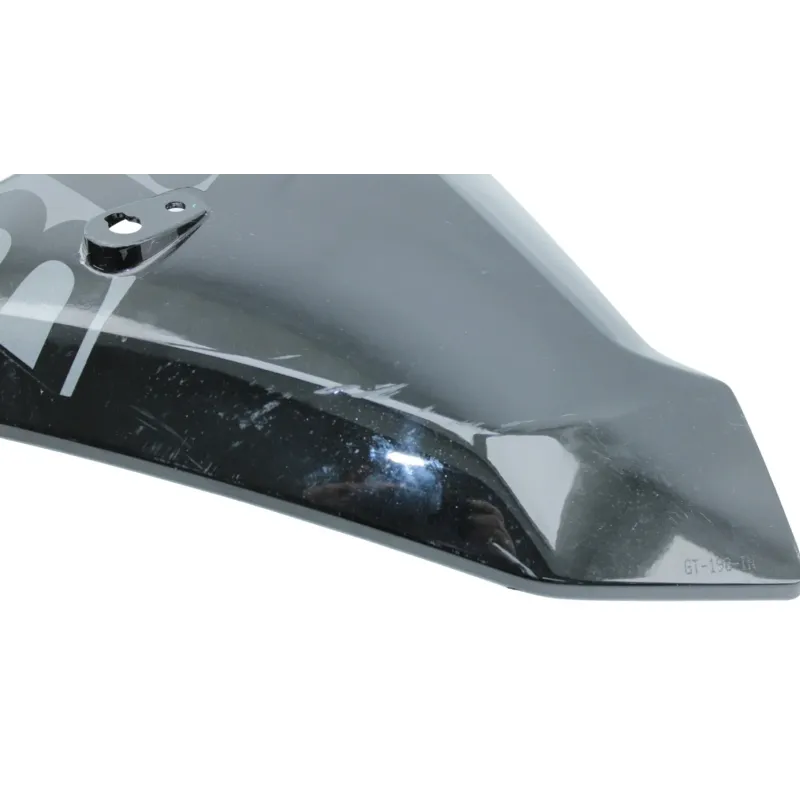 Cache flanc de carenage gauche BMW R 1250 RS 2019 - 2025