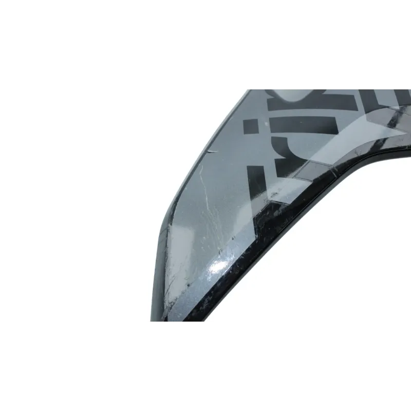Cache flanc de carenage gauche BMW R 1250 RS 2019 - 2025