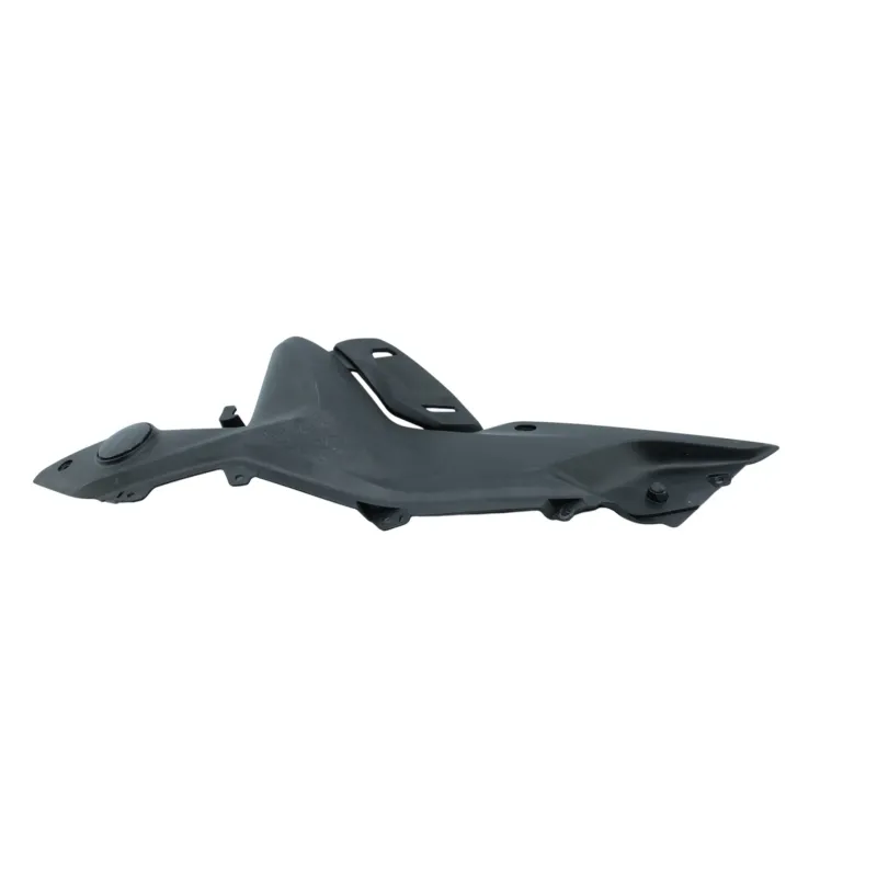 Habillage de cadre droit BMW R 1250 RS 2019 - 2025