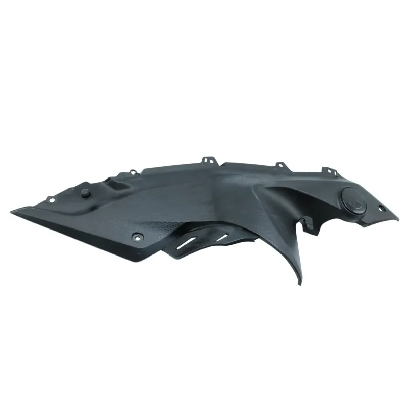 Habillage de cadre droit BMW R 1250 RS 2019 - 2025