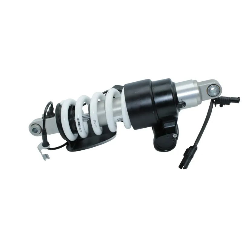 Amortisseur BMW R 1250 RS 2019 - 2025