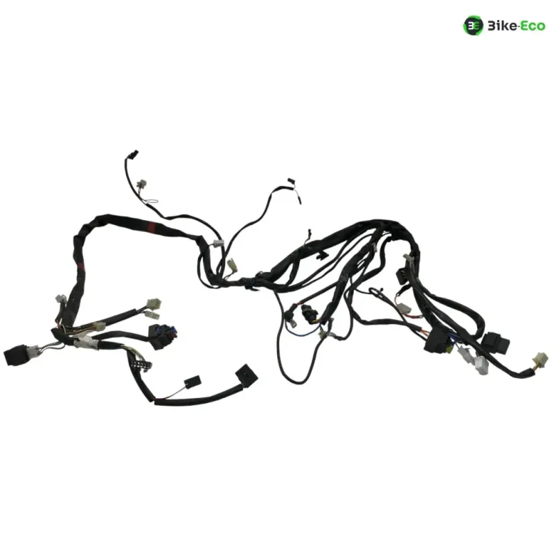 Faisceau electrique APRILIA ATLANTIC 125 2006-2012