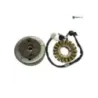 Stator alternateur YAMAHA XC 125 1996-1999 CYGNUS R Stator alternateur YAMAHA XC 125 1996-1999 CYGNUS R