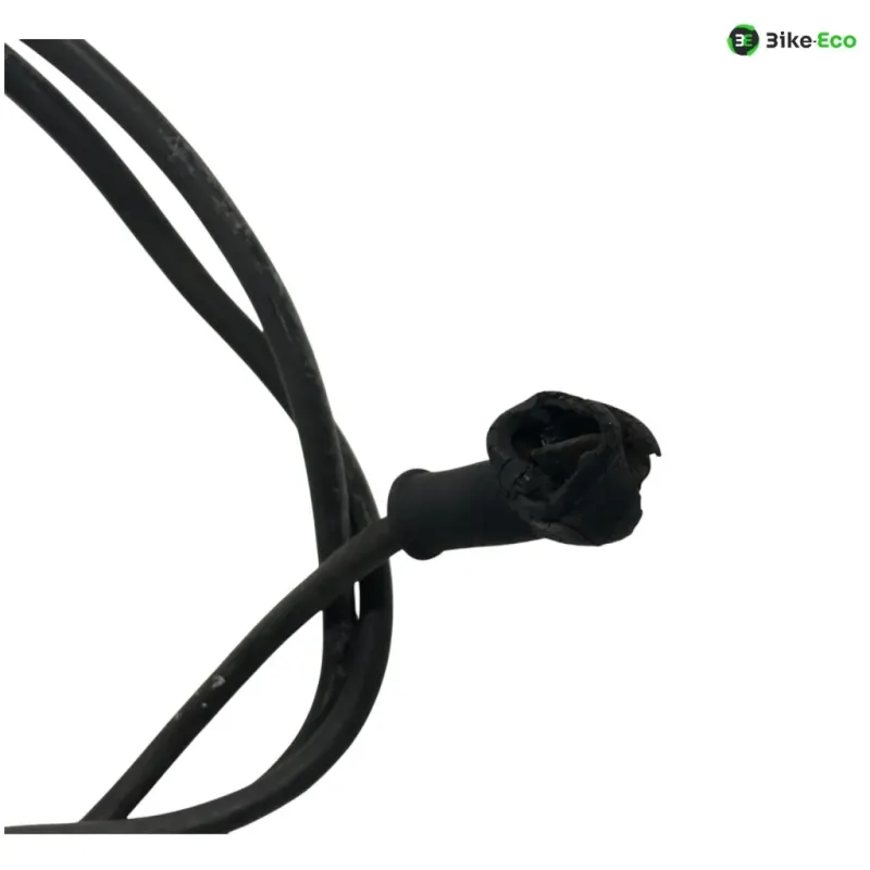 Faisceau electrique YAMAHA YP 250 1996-1998 MAJESTY