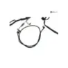 Faisceau electrique YAMAHA YP 250 1996-1998 MAJESTY Faisceau electrique YAMAHA YP 250 1996-1998 MAJESTY