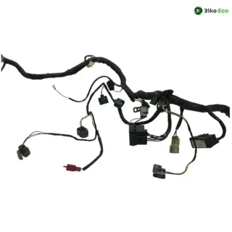 Faisceau electrique HONDA FJS 600 2001-2005 SILVER WING