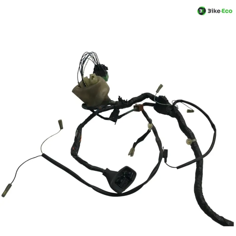 Faisceau electrique HONDA FJS 600 2001-2005 SILVER WING