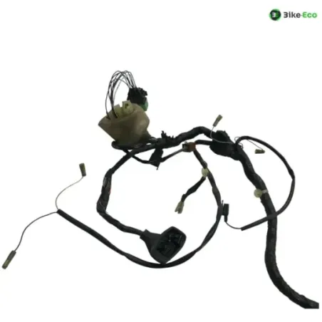 Faisceau electrique HONDA FJS 600 2001-2005 SILVER WING