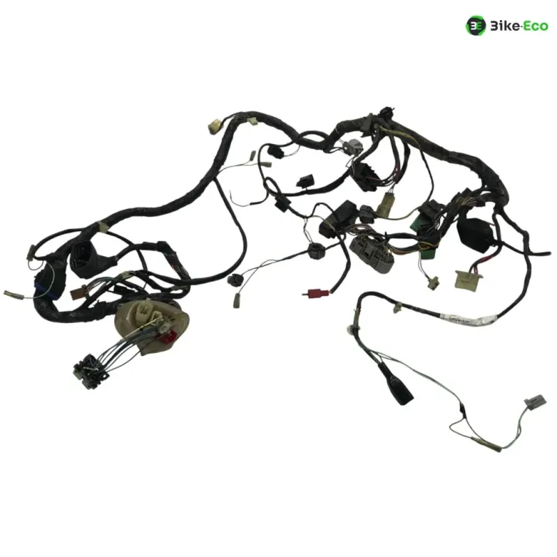 Faisceau electrique HONDA FJS 600 2001-2005 SILVER WING