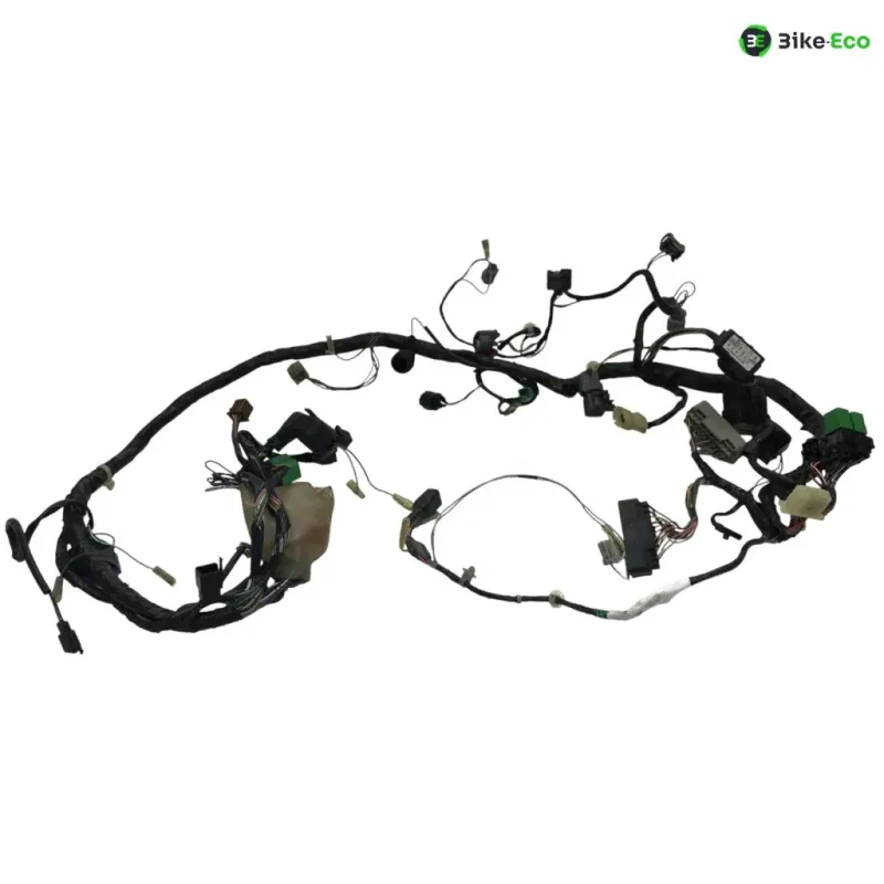 Faisceau electrique HONDA FJS 600 2001-2005 SILVER WING