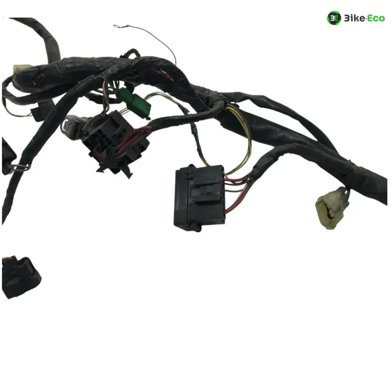 Faisceau electrique HONDA FJS 600 2001-2005 SILVER WING