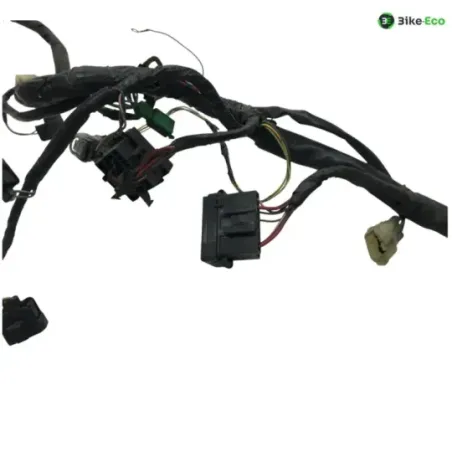 Faisceau electrique HONDA FJS 600 2001-2005 SILVER WING