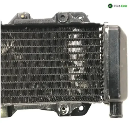 Radiateur eau HONDA CN 250 1991-1997 SPAZIO