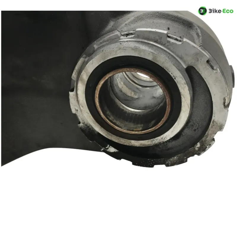Bras oscillant DUCATI MONSTER 1200 S 2015-2016