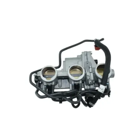 Rampe d'injection TRIUMPH TIGER 850 SPORT ABS 2021 - 2025