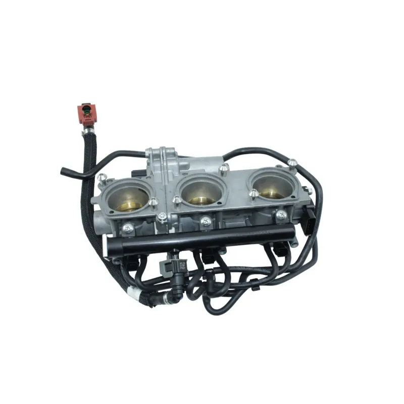 Rampe d'injection TRIUMPH TIGER 850 SPORT ABS 2021 - 2025