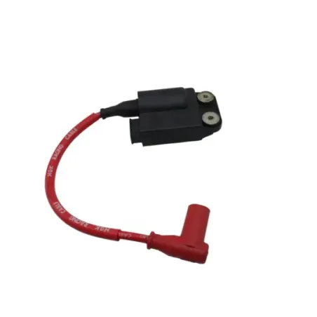 Boitier cdi PIAGGIO ZIP 50 2016 - 2017