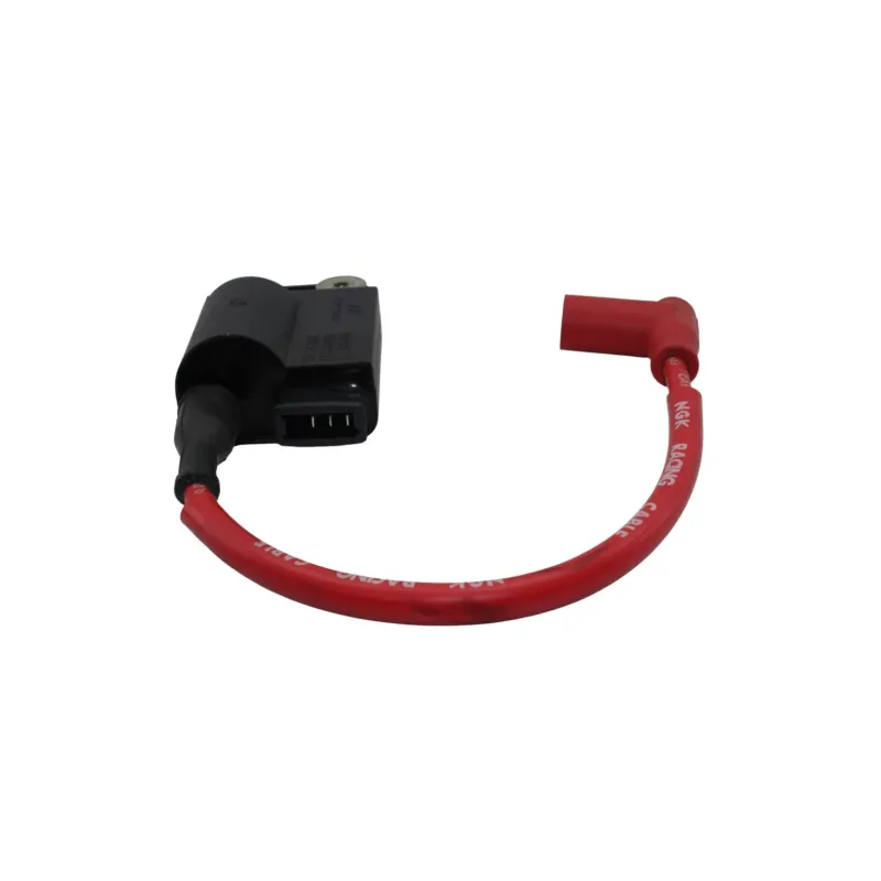 Boitier cdi PIAGGIO ZIP 50 2016 - 2017