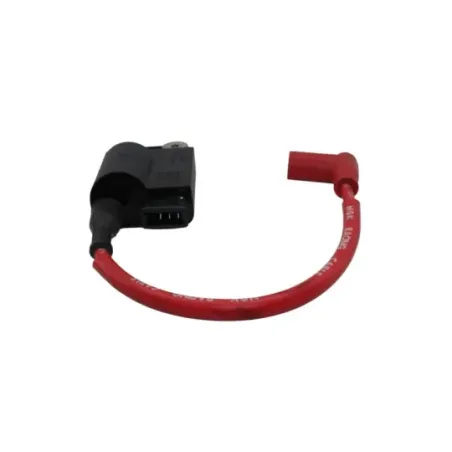Boitier cdi PIAGGIO ZIP 50 2016 - 2017