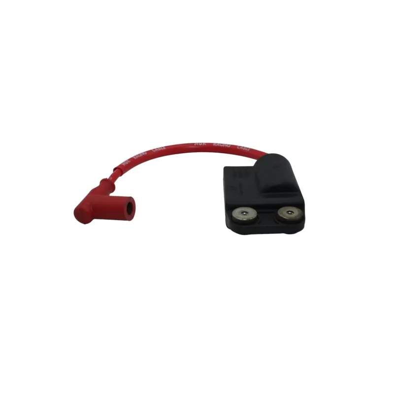 Boitier cdi PIAGGIO ZIP 50 2016 - 2017