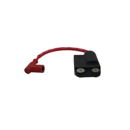 Boitier cdi PIAGGIO ZIP 50 2016 - 2017