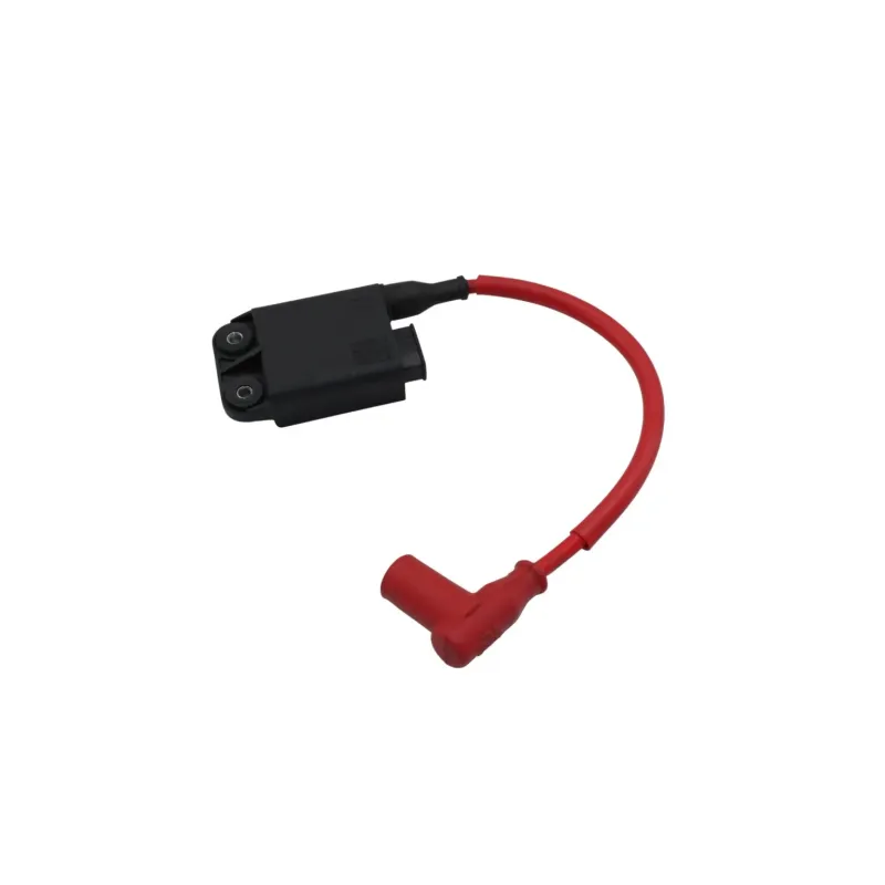 Boitier cdi PIAGGIO ZIP 50 2016 - 2017