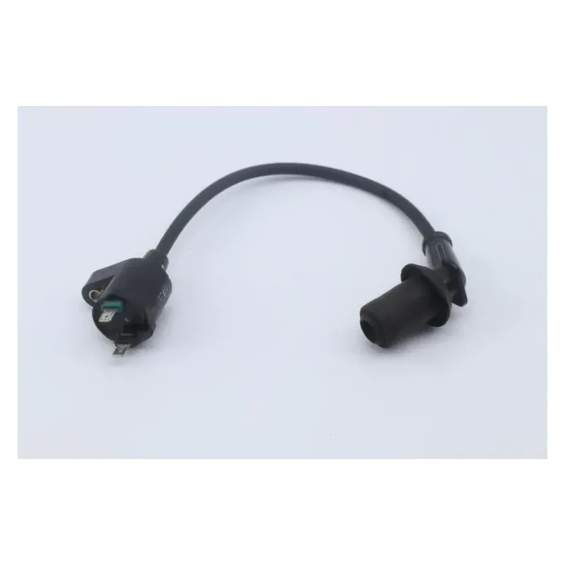 Bobine allumage SYM ORBIT II 50 2018 - 2020