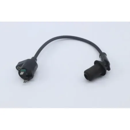Bobine allumage SYM ORBIT II 50 2018 - 2020