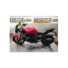 TRIUMPH STREET TRIPLE 675