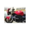 TRIUMPH STREET TRIPLE 675