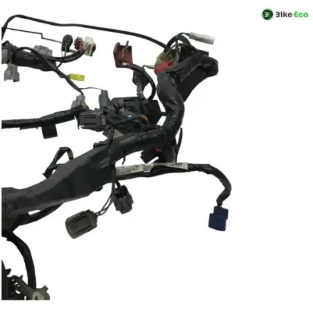 Faisceau electrique HONDA CBR 1000 RR 2008-2009 FIREBLADE