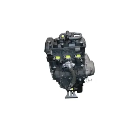 Moteur TRIUMPH TIGER 800 XCA ABS 2018 - 2020