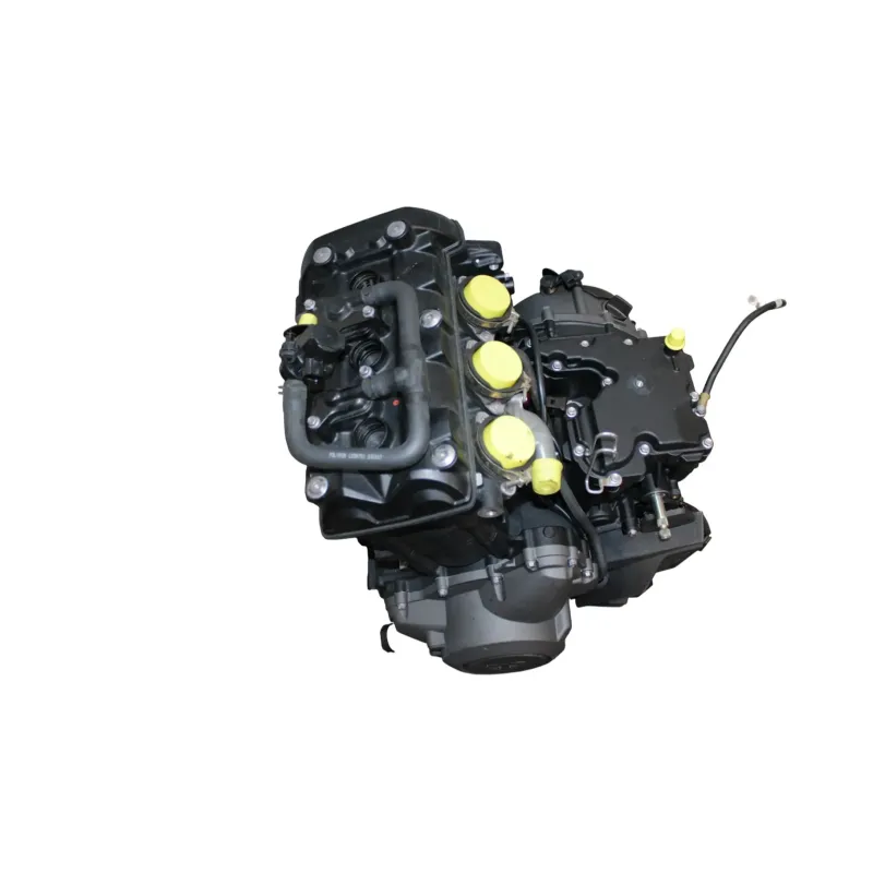 Moteur TRIUMPH TIGER 800 XCA ABS 2018 - 2020