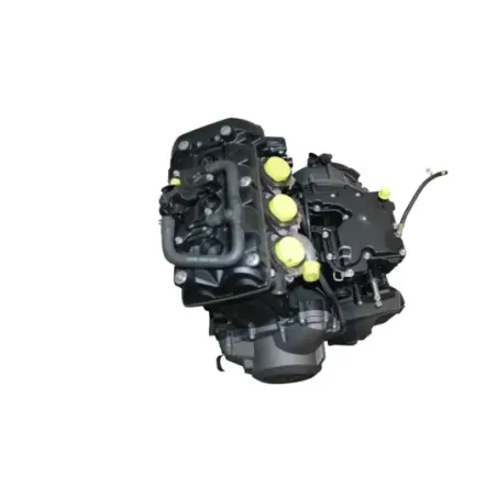 Moteur TRIUMPH TIGER 800 XCA ABS 2018 - 2020