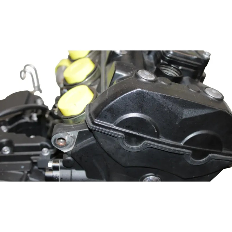 Moteur TRIUMPH TIGER 800 XCA ABS 2018 - 2020