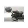 DOFERN D1