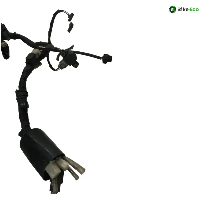 Faisceau electrique HONDA CBF 125 2009-2012