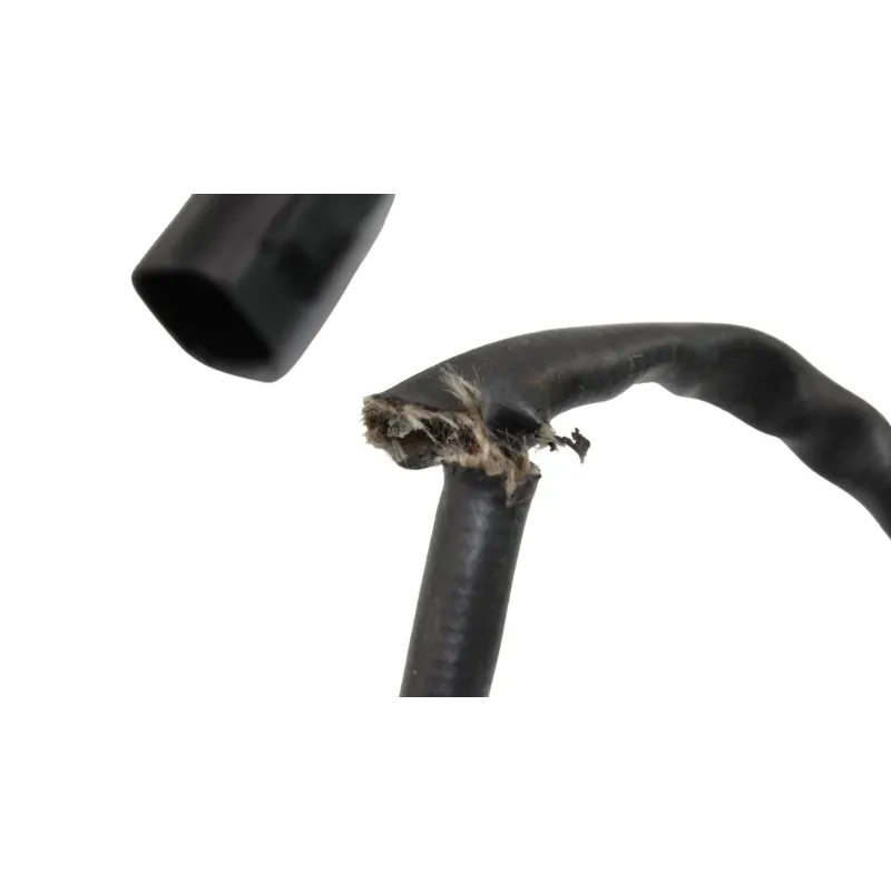 Sonde lambda CF MOTO NK 800 SPORT ABS 2023 - 2025