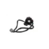 Commodo droit TRIUMPH TRIDENT 660 2021 - 2025