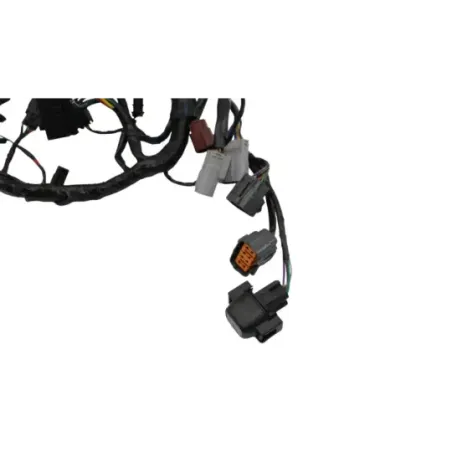 Faisceau electrique TRIUMPH TRIDENT 660 2021 - 2025
