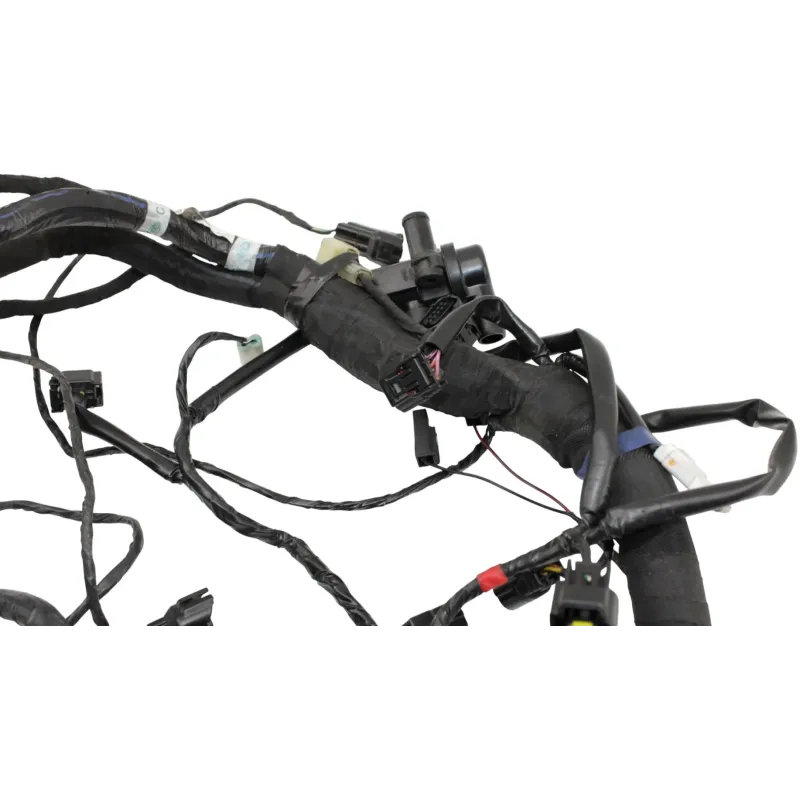 Faisceau electrique TRIUMPH TRIDENT 660 2021 - 2025