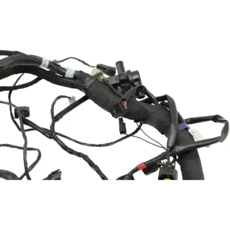 Faisceau electrique TRIUMPH TRIDENT 660 2021 - 2025