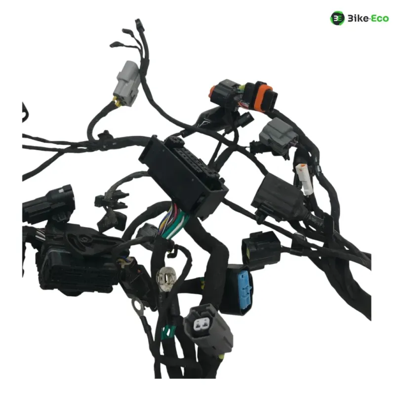 Faisceau electrique CF MOTO NK 800 2023-2025