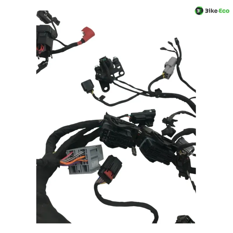Faisceau electrique CF MOTO NK 800 2023-2025