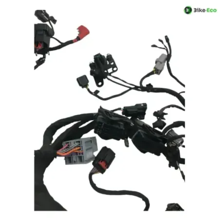 Faisceau electrique CF MOTO NK 800 2023-2025