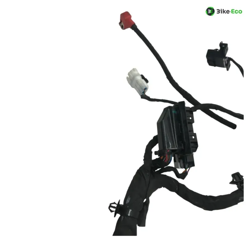 Faisceau electrique CF MOTO NK 800 2023-2025