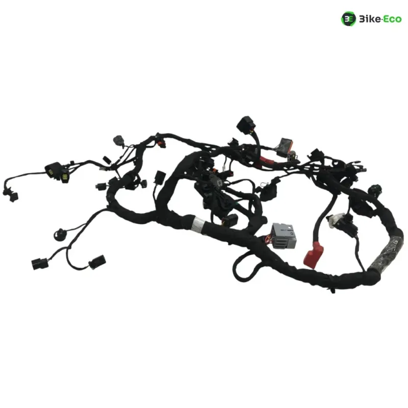 Faisceau electrique CF MOTO NK 800 2023-2025