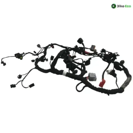 Faisceau electrique CF MOTO NK 800 2023-2025